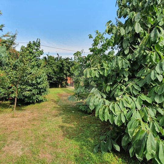 Predaj záhradnej chaty v Čergove