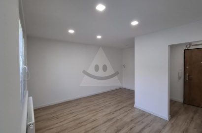 Kompletne rekonštruovaný 1 izbový byt na prenájom