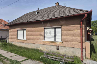 Rodinný dom s vedľajšou budovou a pekným pozemkom v Búči